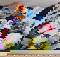 Cuttle-Rock Challenge - CUTTLEFEST 2020 - Whyalla - Tourism Gold Coast