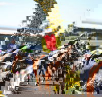 De Bortoli Wines Golden Rose Day - Tourism Gold Coast