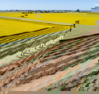 Gears and Beers Festival - Tourism Gold Coast