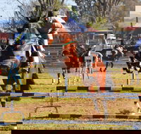 Glen Innes Pastoral and Agricultural Show - Tourism Gold Coast