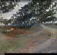 Hartwood Campfires and Country Music - Tourism Gold Coast