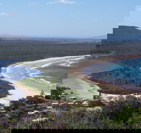 Head to Head Walk Run - Tourism Gold Coast