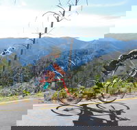 High Country Women's Cycling Festival - Tourism Gold Coast