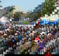 Hunter Valley Caravan Camping 4WD Fish and Boat Show - Tourism Gold Coast