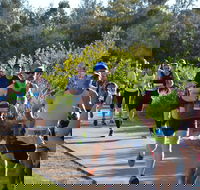 Husky Half Running Festival - Tourism Gold Coast