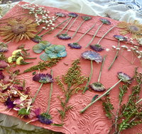 Introduction to Paper Making - Tourism Gold Coast