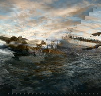 IRONMAN 70.3 Western Australia - Tourism Gold Coast