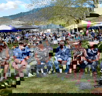 Jamming at Jingellic - Tourism Gold Coast