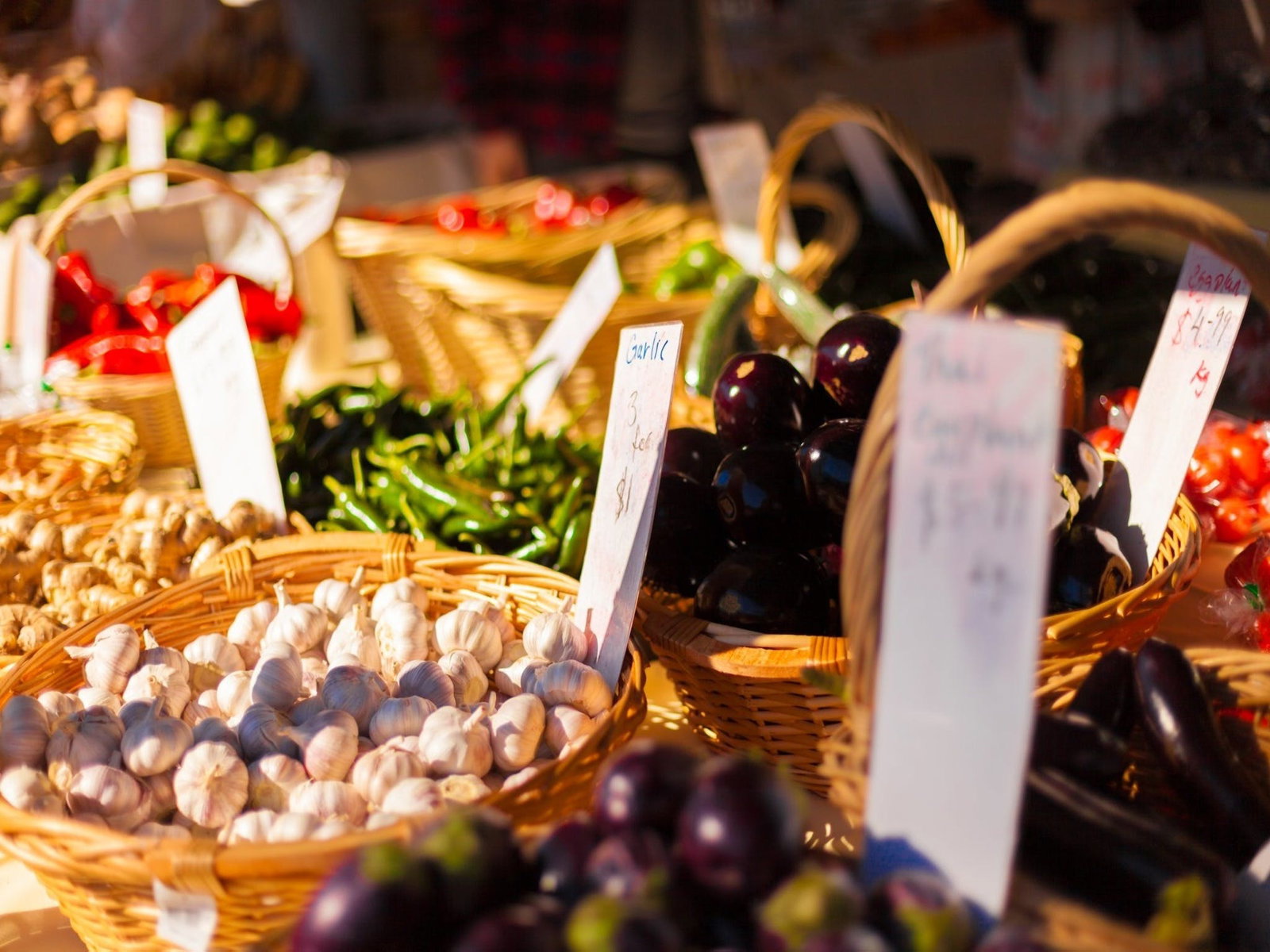 Kuraby QLD Tourism Gold Coast