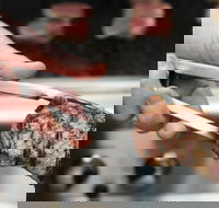 Meat BBQ Cooking Class - Tourism Gold Coast