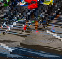 Moruya Town to Surf Fun Run - Tourism Gold Coast