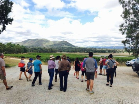 Mudgee Farm Walks - Tourism Gold Coast 1