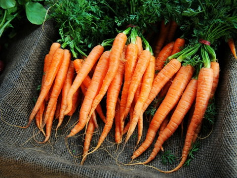 Mudgee Farm Walks - Tourism Gold Coast 2