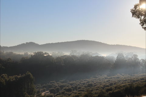 Mudgeeque - Tourism Gold Coast 0