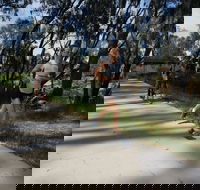 Ned Kelly Chase - Tourism Gold Coast