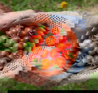 Riverina Producers Market - Tourism Gold Coast