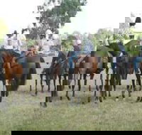 Stroud Show - Tourism Gold Coast