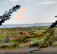 SunSmart Busselton Festival of Triathlon - Tourism Gold Coast