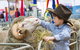 Sydney Royal Easter Show - thumb 0