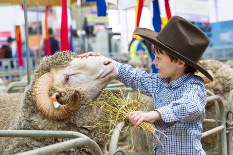 Sydney Royal Easter Show - Tourism Gold Coast 0