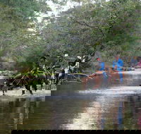 The Man From Snowy River Bush Festival - Tourism Gold Coast