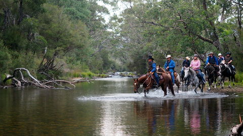 The Man From Snowy River Bush Festival - Tourism Gold Coast 0
