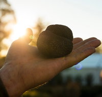 The Truffle Festival - Canberra Region - Tourism Gold Coast