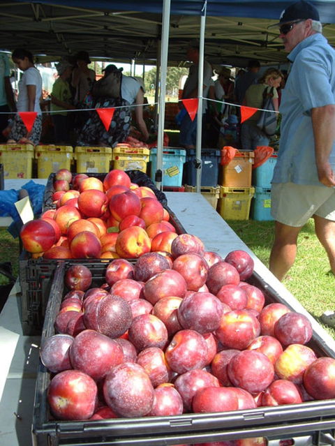 The Farmers Market On Manning - Tourism Gold Coast 0