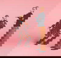 The Comedy of Errors - Tourism Gold Coast