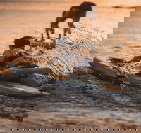 The Bay Games - Jervis Bay - Tourism Gold Coast