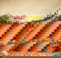 Tumbarumba Spring Flower Festival - Tourism Gold Coast