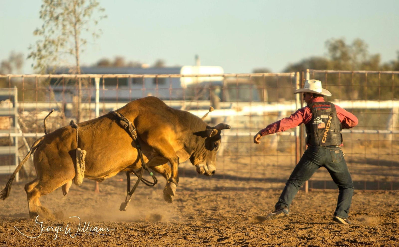 Walgett NSW Tourism Gold Coast