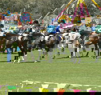 Wangaratta Show - Tourism Gold Coast