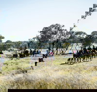 Weddin Mountain Muster - Tourism Gold Coast