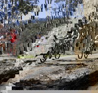 Wollombi Wild Ride Mountain Bike Ride - Tourism Gold Coast