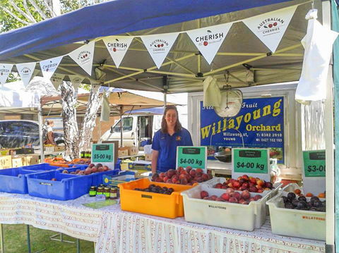 Young And Region Farmers Markets - Tourism Gold Coast 1