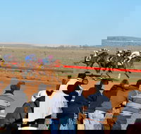 2020 Quorn Cup - Tourism Gold Coast