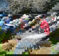 All Season Cold Climate Organic Vegetable Growing - Tourism Gold Coast