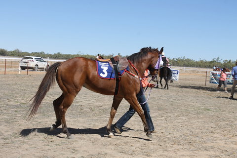 Annual Prairie Races - Gold Coast 2
