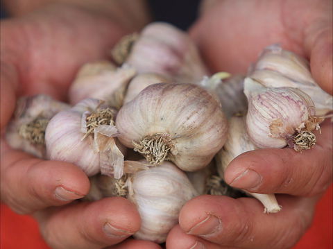 Armidale Farmers' Market - Tourism Gold Coast 0