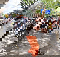Australian National Busking Championships - Tourism Gold Coast