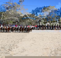 Australian Campdraft Association National Finals Campdraft 2021 - Tourism Gold Coast