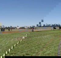 Balranald Races -Derby Day - Tourism Gold Coast