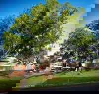 Big Bat Wildlife and Eco Festival - Tourism Gold Coast
