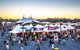 Bluesfest - thumb 0