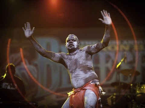 Bluesfest - Tourism Gold Coast 2