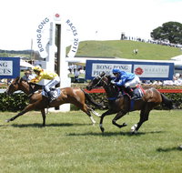 Bong Bong Picnic Races - Tourism Gold Coast