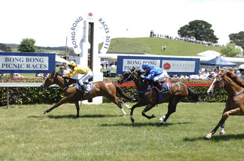 Bong Bong Picnic Races - Tourism Gold Coast 0