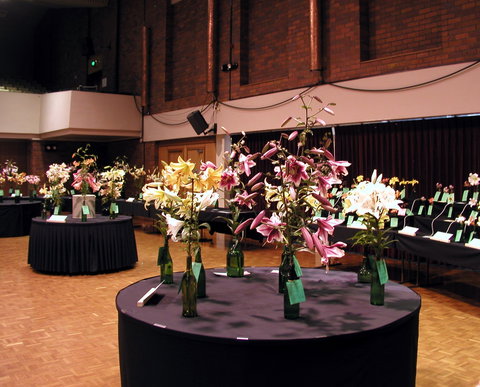 Burnie Lilium Show - Tourism Gold Coast 0