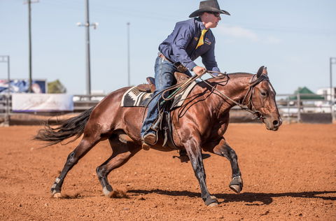Cloncurry Stockmans Challenge And Campdraft - Tourism Gold Coast 1